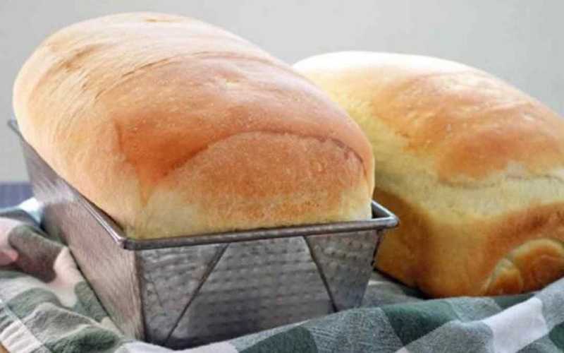 Pão de Micro-ondas Receita Rápida e Deliciosa